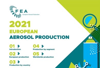 RAPPORTO STATISTICO FEA 2021